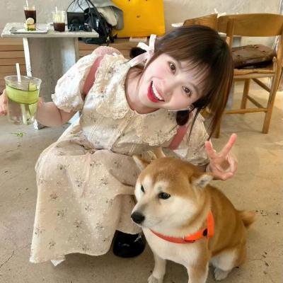 杰克兔